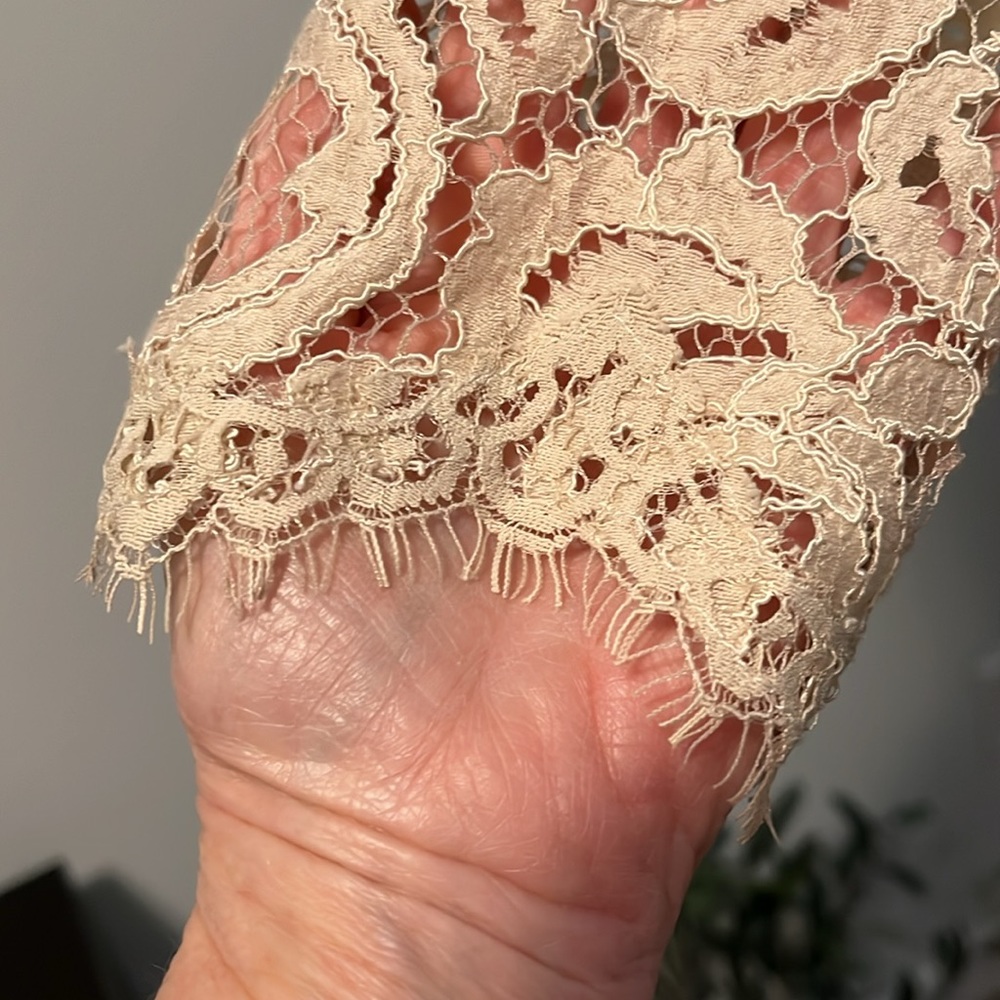 Tadashi Shoji Chantilly Lace Gown - Picture 4 of 15
